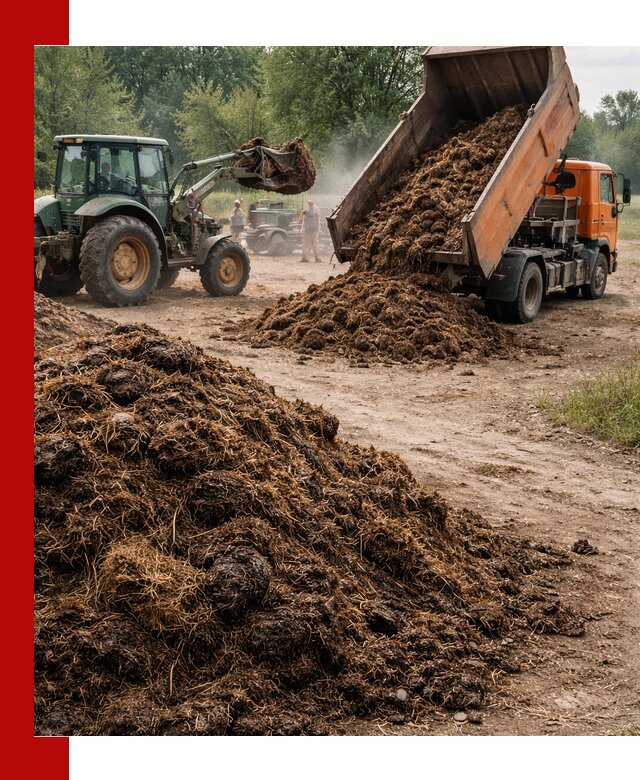 Доставка навоза самосвалами в Вологде для сельхозпотребностей